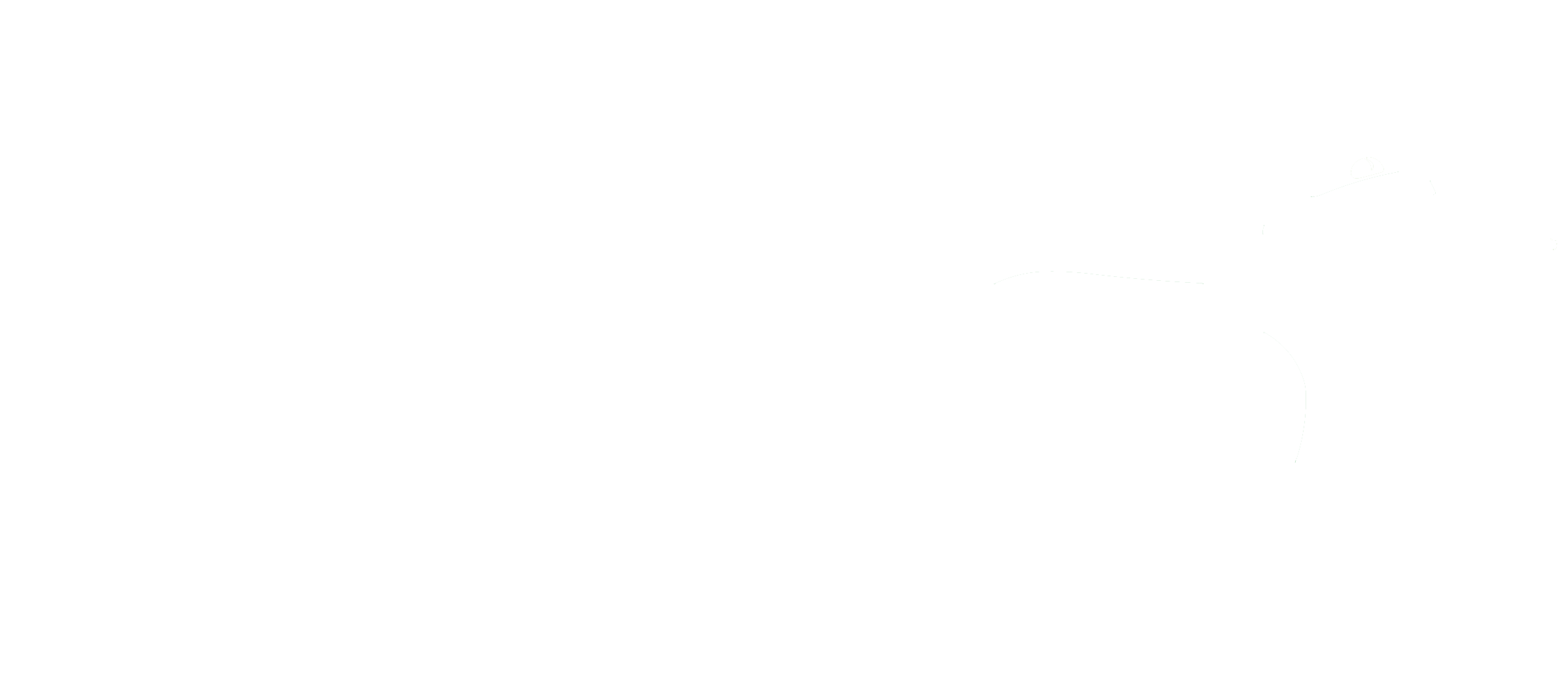 AUDIOFROG